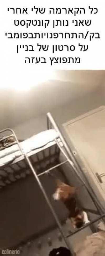 r/publicfreakouts_במציאות