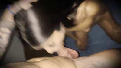 Happy with a dick in my mouth