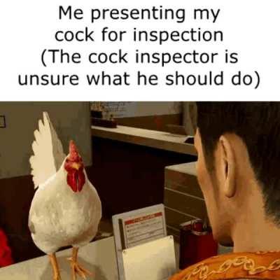 cock inspection