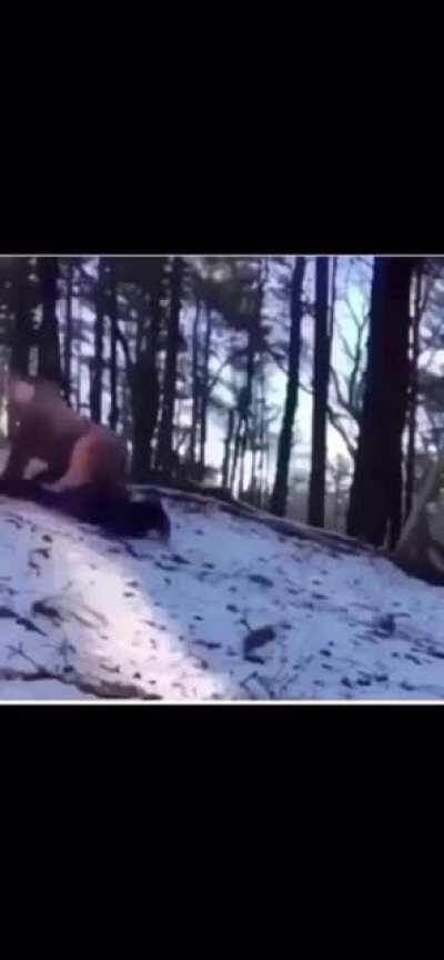 Noah it’s time to take the Lorax and leave