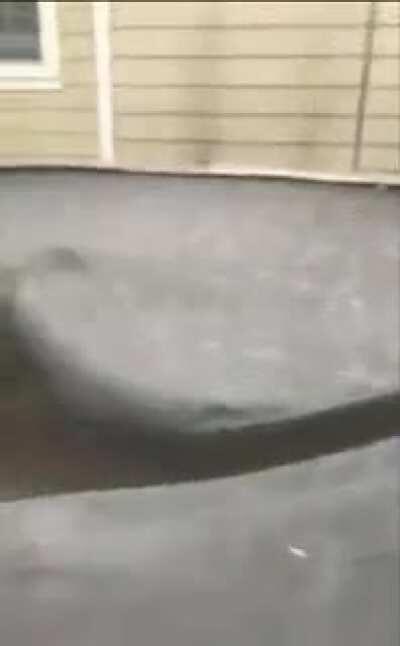 WCGW if i jump off this 20ft roof onto a trampoline