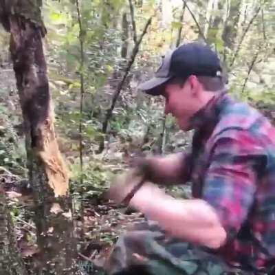 Madison Cawthorn vs a Tree