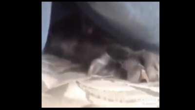 I don't know how long this has been on my pc for, but I'm not dissapointed