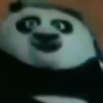 Its the Kung fu Fighterrrr