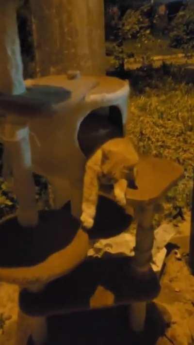 For some it's trash, for others it's happiness...