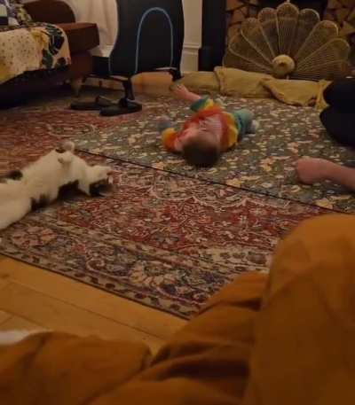 Cat teaches baby how to roll over..