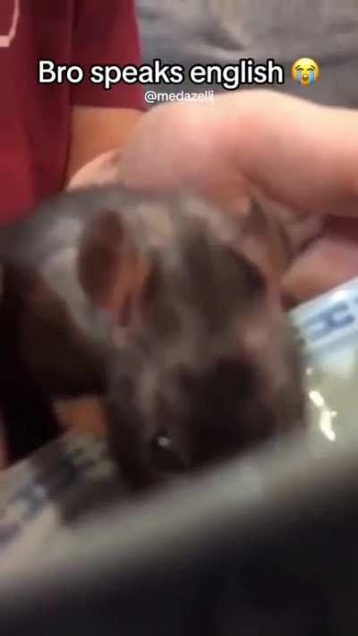 He Was Just Joking Manð¥²