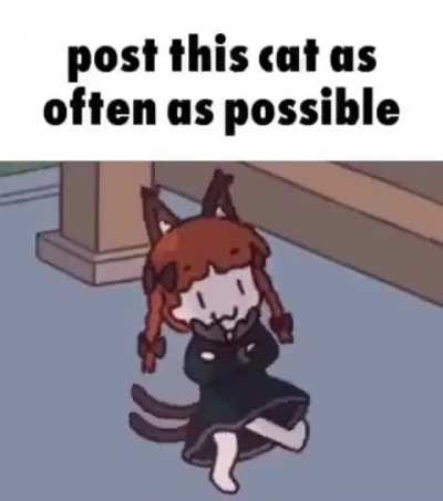 Post this cat as often as possible