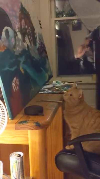 My cat is High as fuck after his surgery and tripping out to the painting I'm working on lol