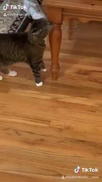 Get out of my house!