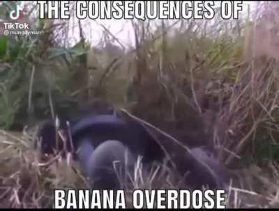 banana addiction is a real problem in this day and age