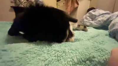 I cannot believe this happened right next to me 😭❤️