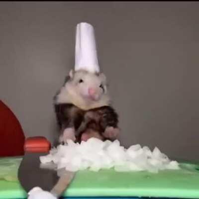 Tu vida cambió mi vida, muchachita consentida.