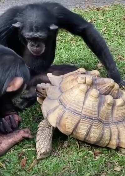 Here bro , you want some?