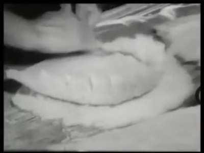 Plis workshop in the 1970s