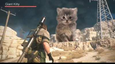 It can be the most epic battle of history