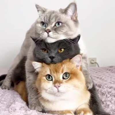 Mixed metal ingot in real life