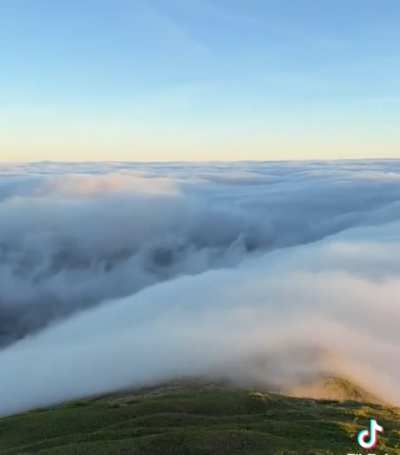 yall! we see this in game