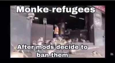 Please mods don’t do this!!!😔😥🐵🐒