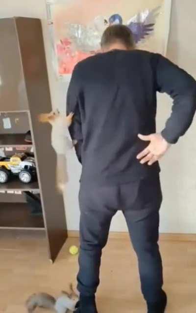 sQuIrRelS BrUtaLlY aTtACk oNe-ArMeD mAn