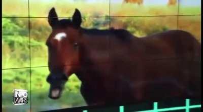 Alex Jones turns into a horse lmao