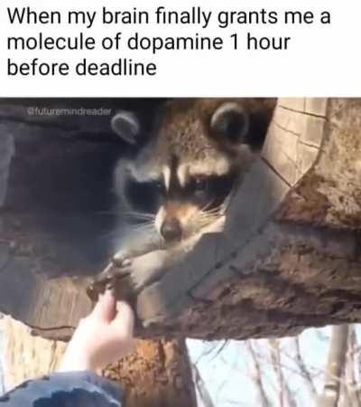 Shamelessly repurposed a meme on a phone, turning a PC on is too slow