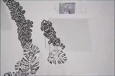 Mr. Doodle spent 2 years doodling his entire house