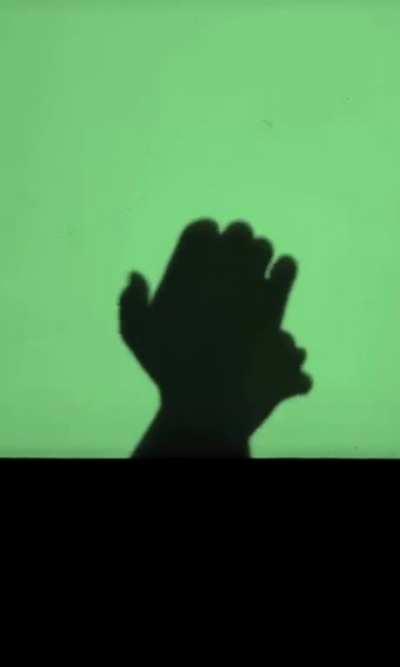 Insane Hand Shadow Puppetry