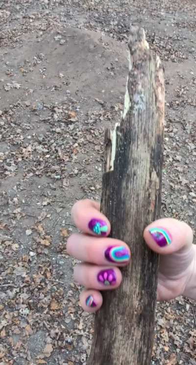 Stroking some wood...