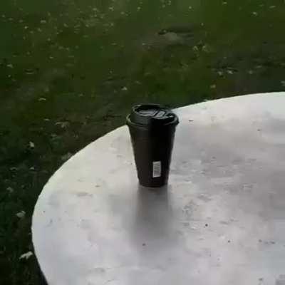 White girls be like this tho