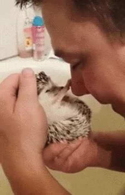 I love you, hedgehog. I love you, hooman.