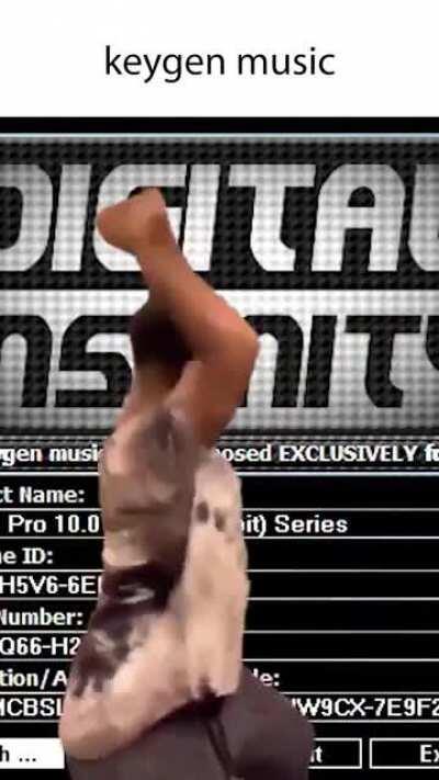 the official theme song of pirating sony vegas