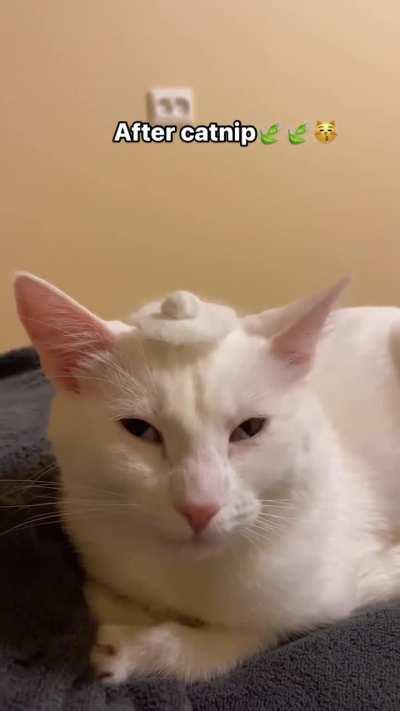 🌘〰️🌒 -> 🌓^🌗