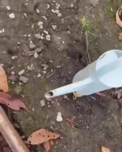 how can I make something like this on AE?