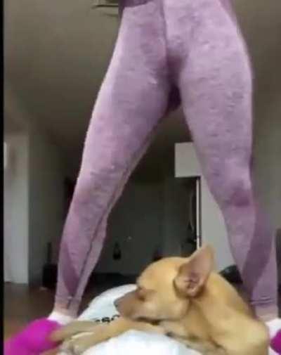 This is the girl from the self titled mixtape cover