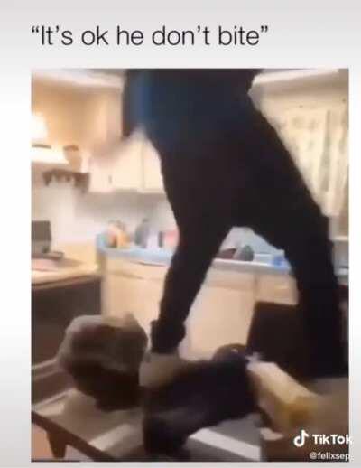 Don’t care about my dog biting you, and my new broken door