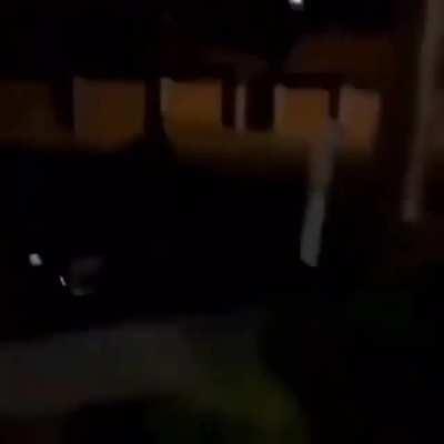 If me and my son not like this, ion want him🤷🏿‍♂️🤷🏿‍♂️🤷🏿‍♂️💯💯💯