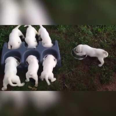 Do I really need a title for this?