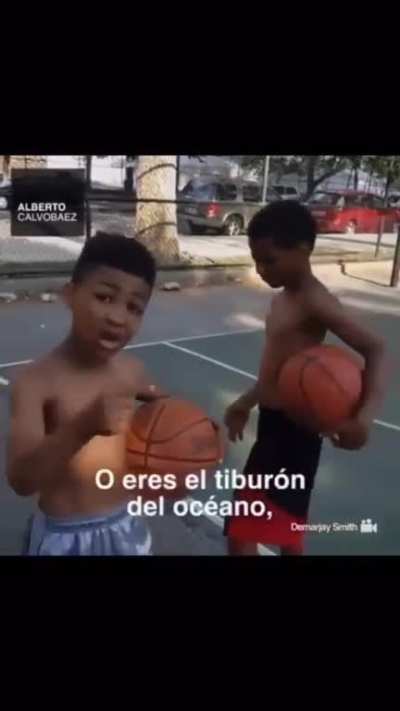 ¿Eres tiburon o pez?