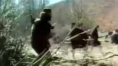 Paint It, Black | Macedonian Struggle