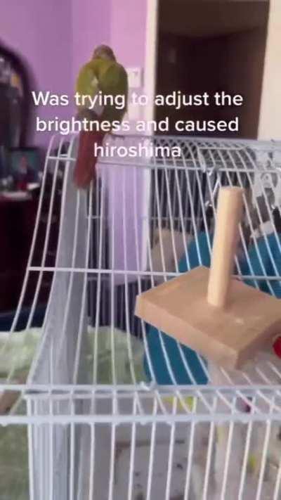 I’m 15 and this is yeet