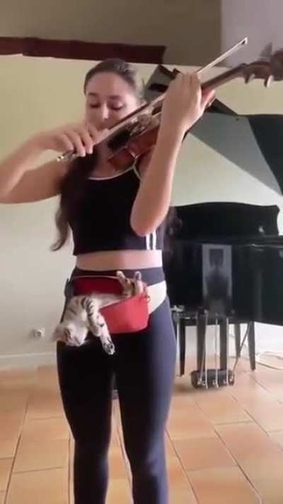 When your forever home is with a violinist (wait for it)