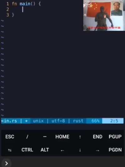 Programming in Rust in China