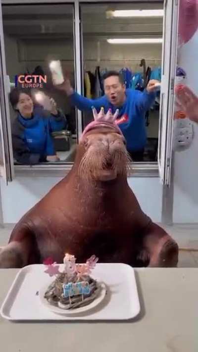 Wunk is surrounded by his loved ones and is having a great time, happy birthday wunkus!