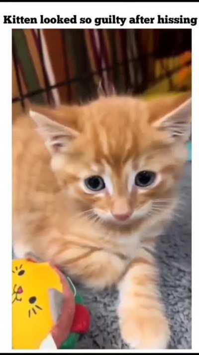 the little smile he had after he was forgiven