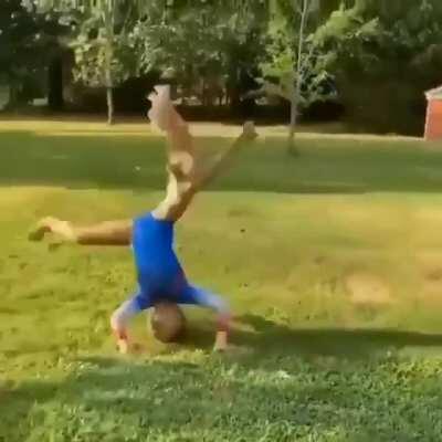 You never expect this