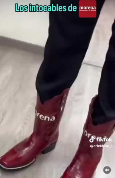 Los impresentables de Morena …