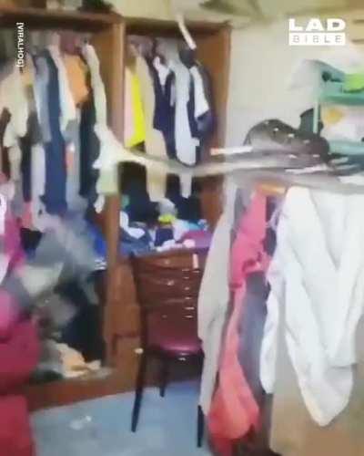 What the actual fuck is this ?