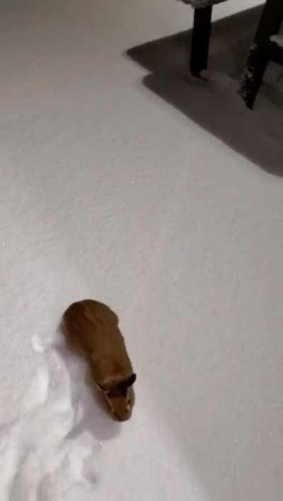 That's enough snow for today☃️🧥❄🌨