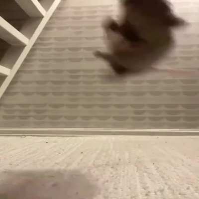 Almir when Jacket is finally announced.